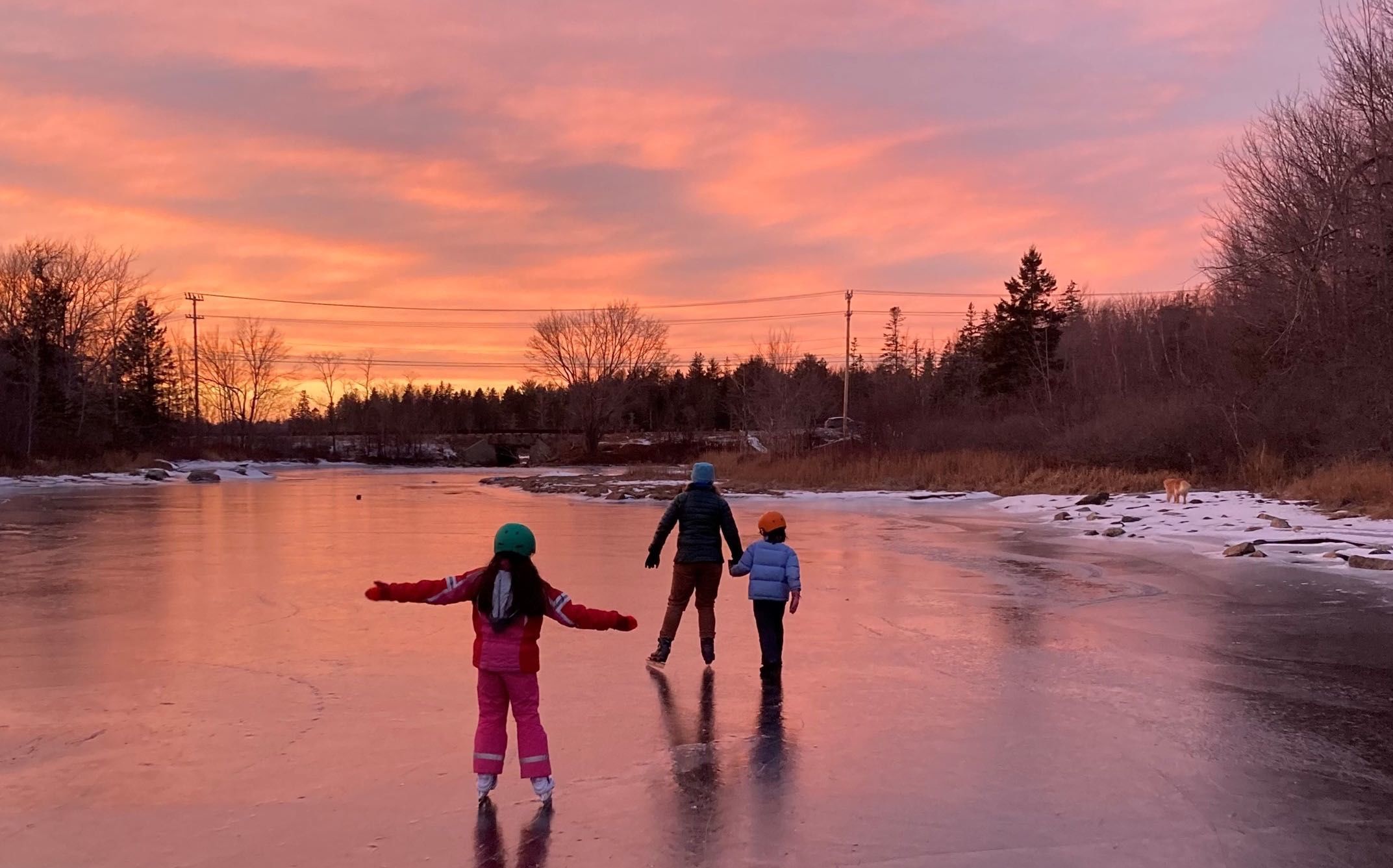 pink sunset and skaters on ice