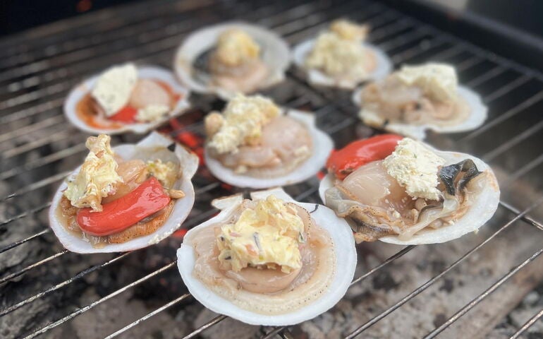 circle of scallops on grill