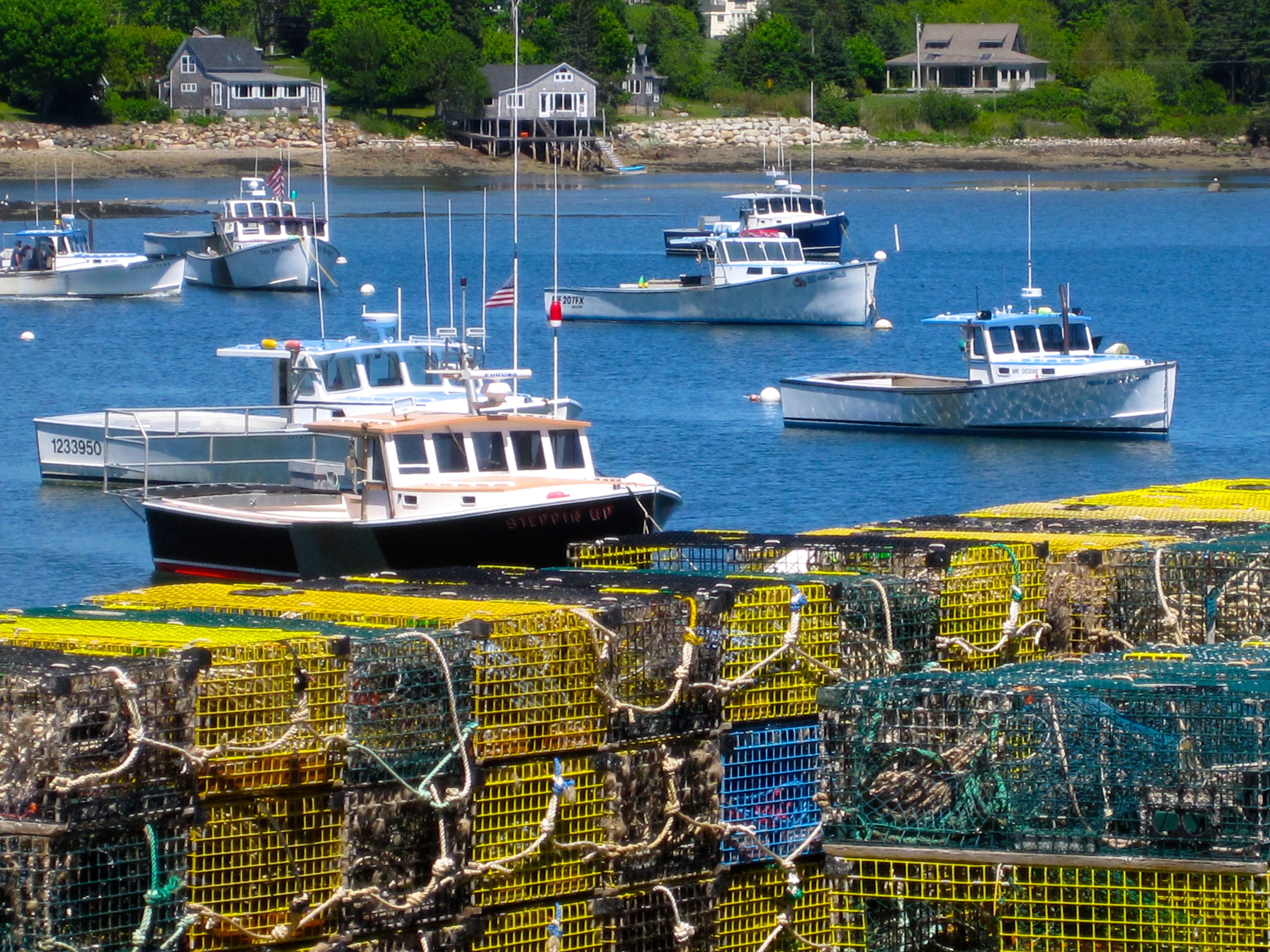 UMaine's 'hot water' study will examine lobster industry's vulnerable areas - Mainebiz