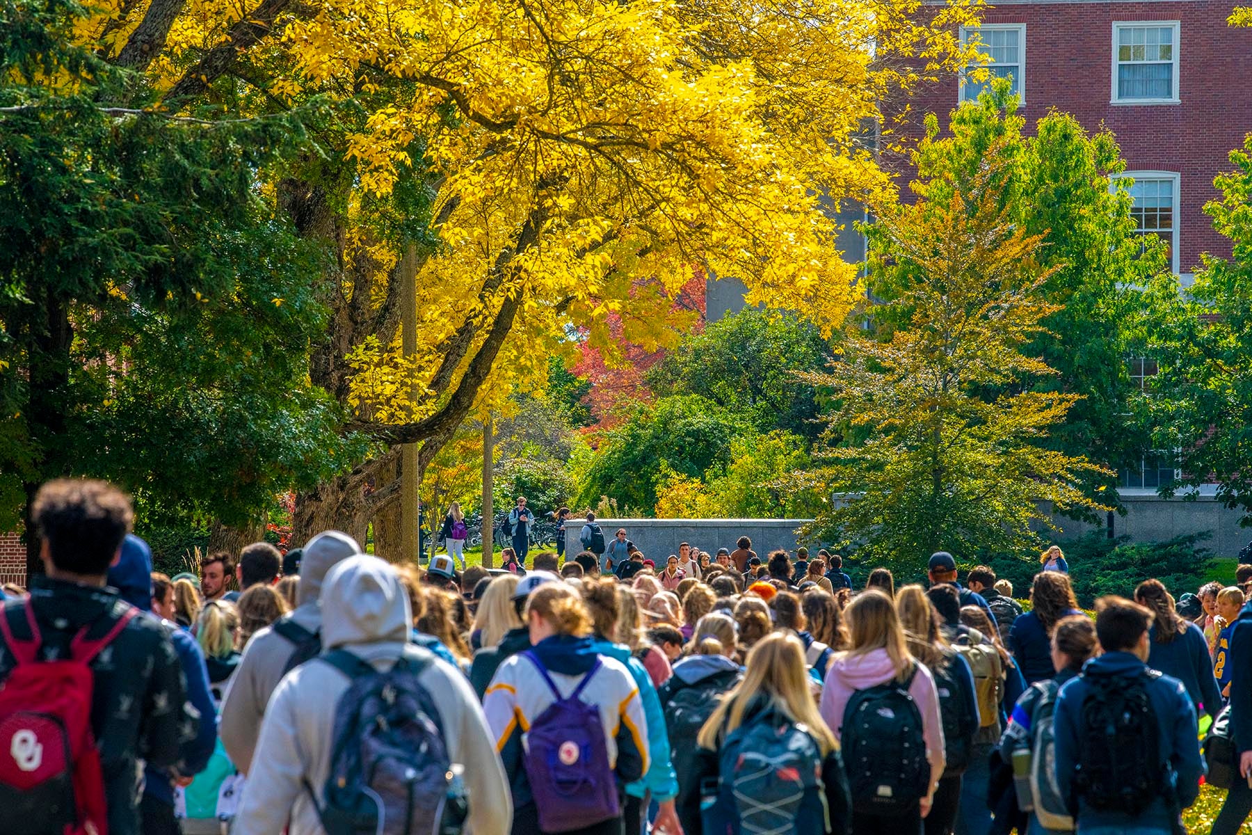 Bucking national trend, UMaine enrollment soars to highest ever