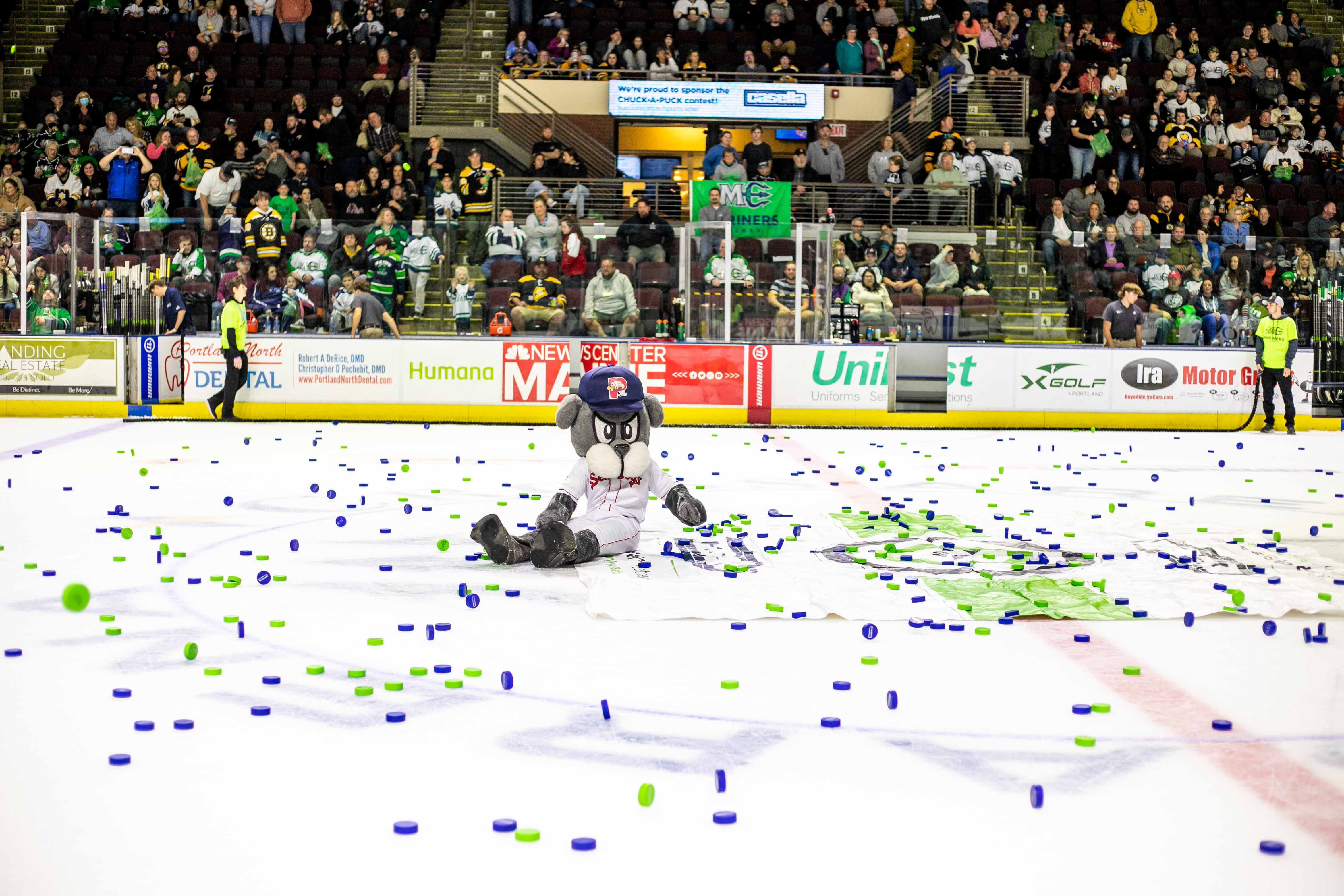 Hockey Fans, You Can Own an Authentic Maine Mariners Jersey