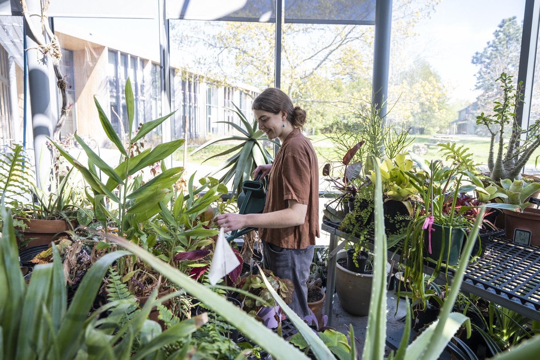Three Maine schools in top 50 of Princeton Review's 'green colleges' list