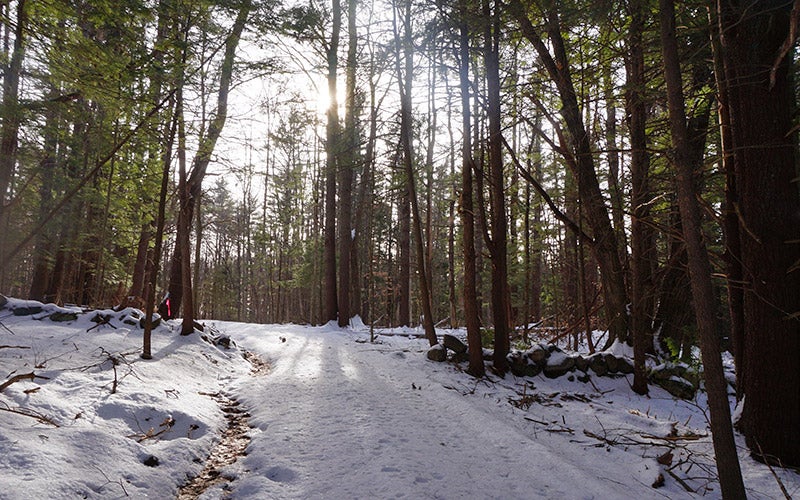 Kennebec Land Trust cabins to be featured on 'Maine Cabin Masters