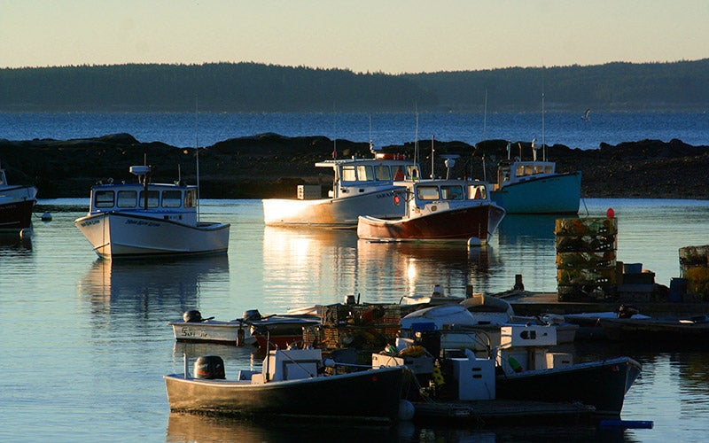 Lobster landings post turnaround, Maine's fisheries' overall value