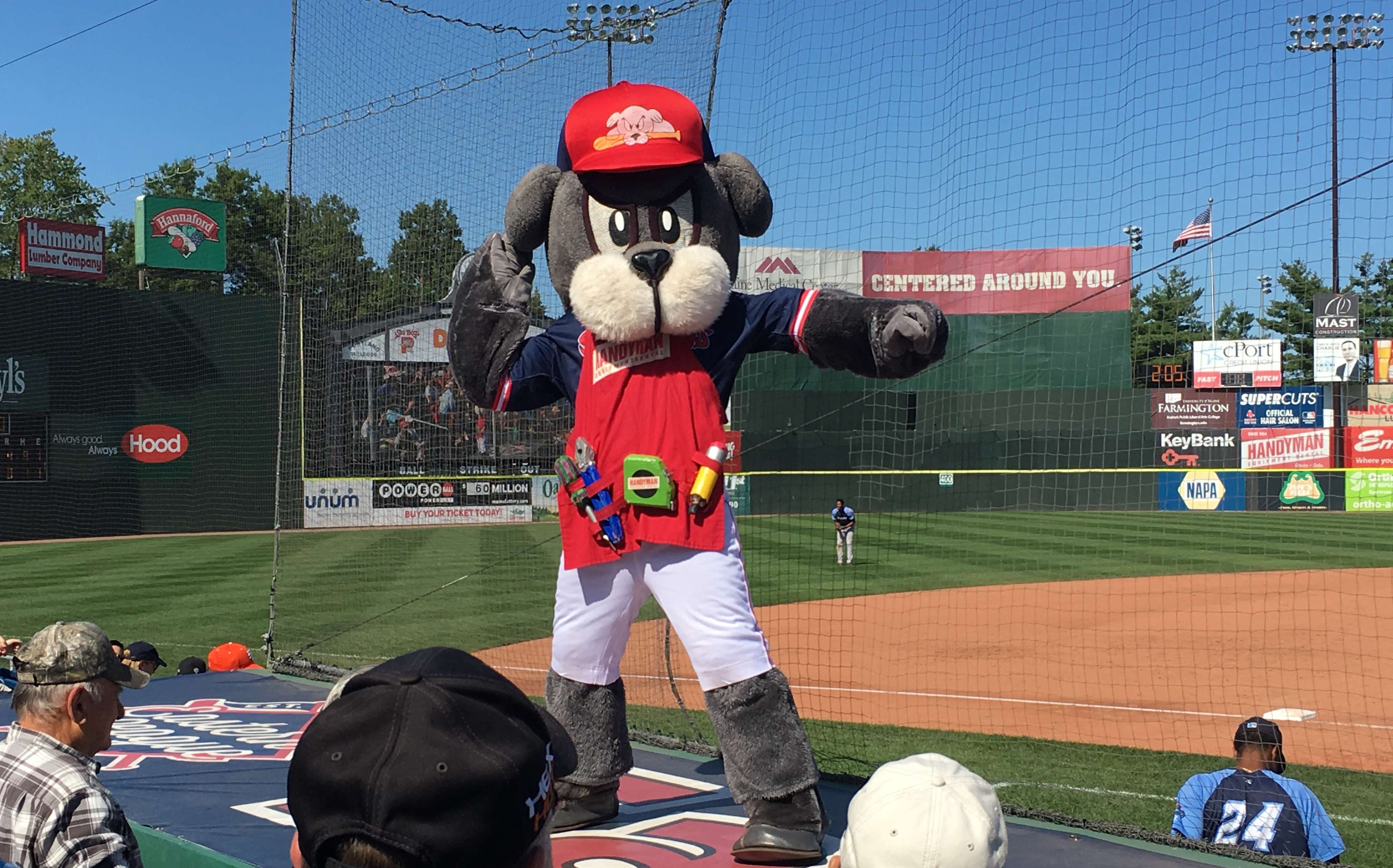 Slugger, mascot of the Portland Sea Dogs, at Hadlock field performing "YMCA."