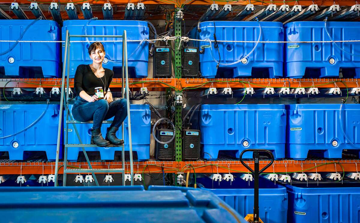 Briana Warner in front of blue tanks