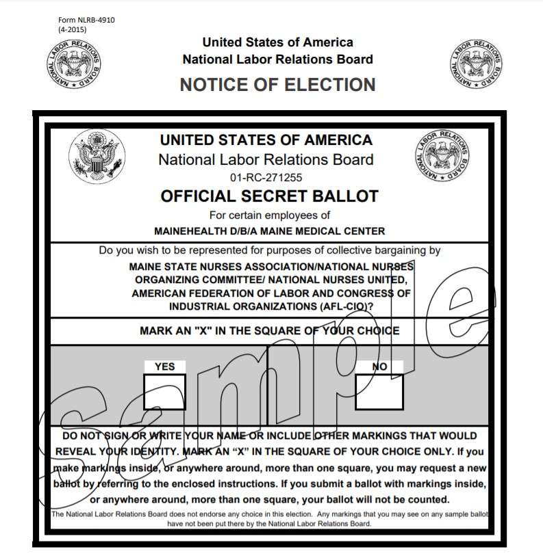 black-and-white close up of form with two blank boxes and marked "official secret ballot" and "sample"