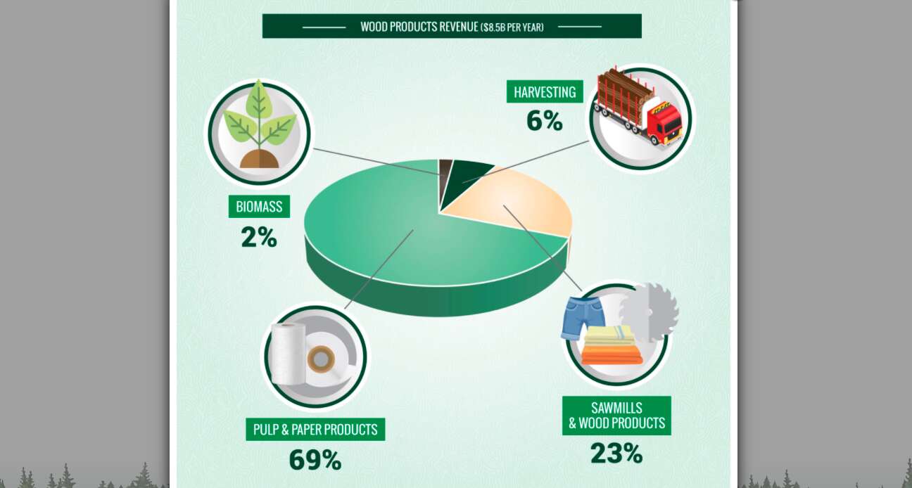 a pie chart shows that 69% of maine's wood product revenue is pulp and paper products, 23% sawmills and wood products, 6% harvesting and 2% biomass