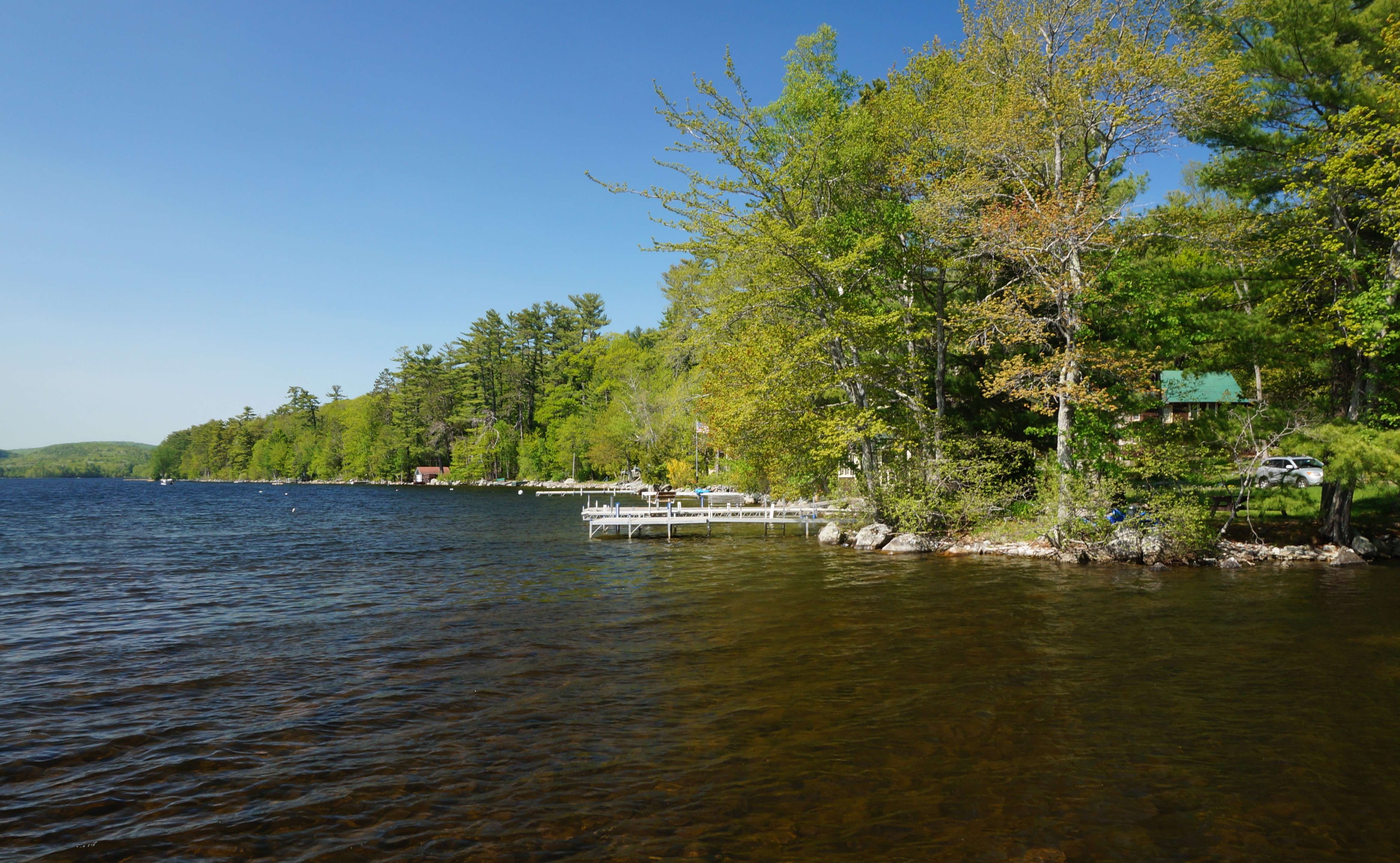 a lakefront with houses nestled in the trees and docks going out into water so clear you can see the bottom