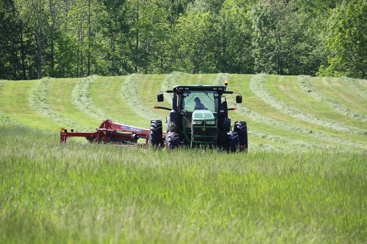 a tractor mows a meadow