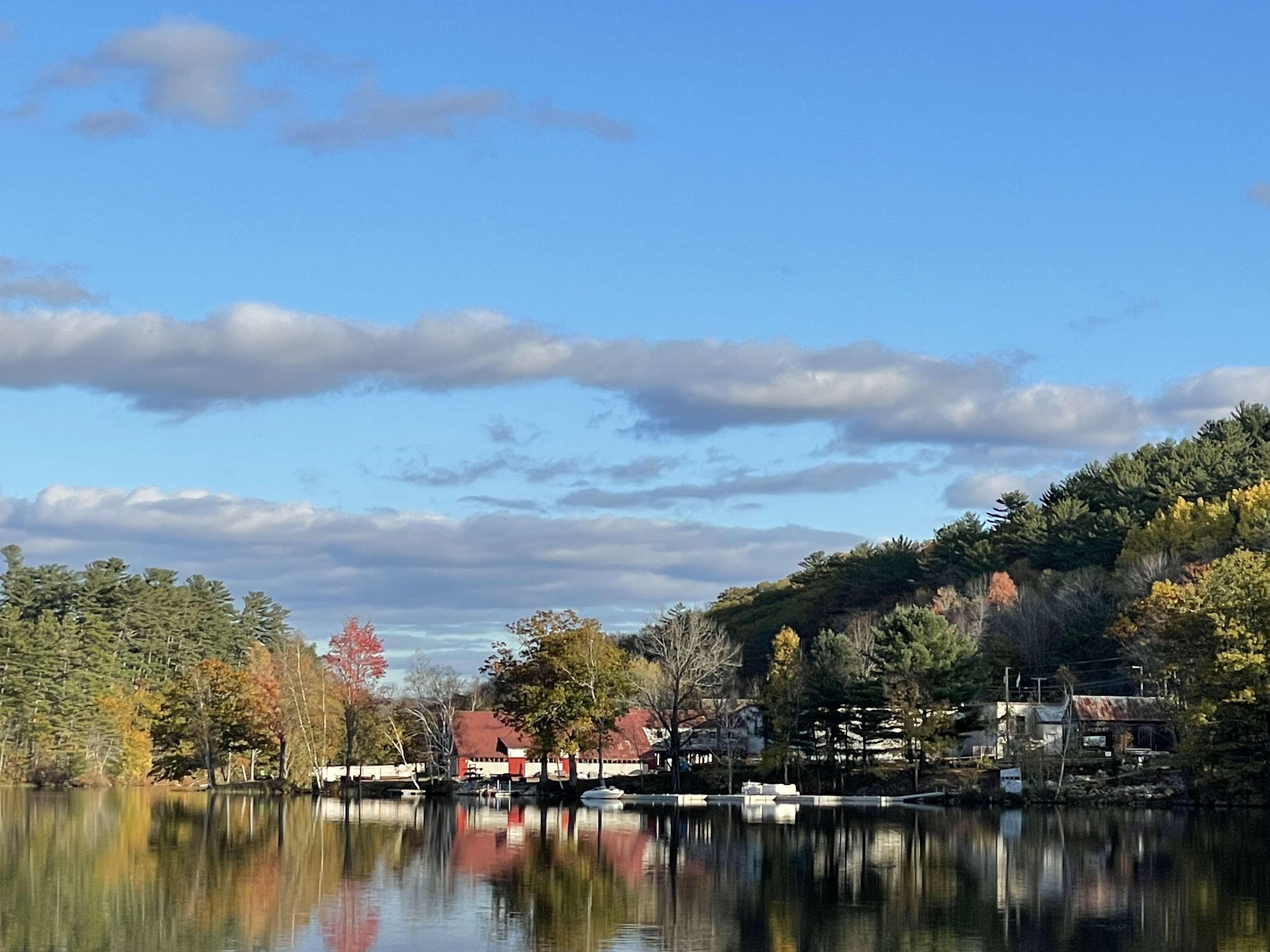 lake with shore