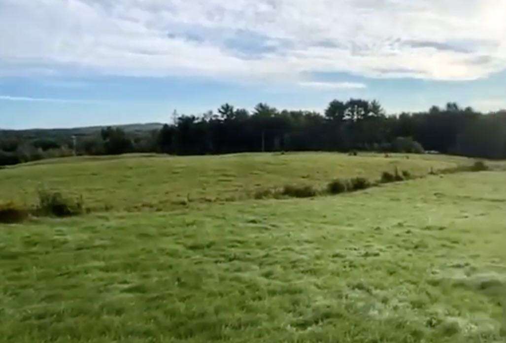 fields and woods