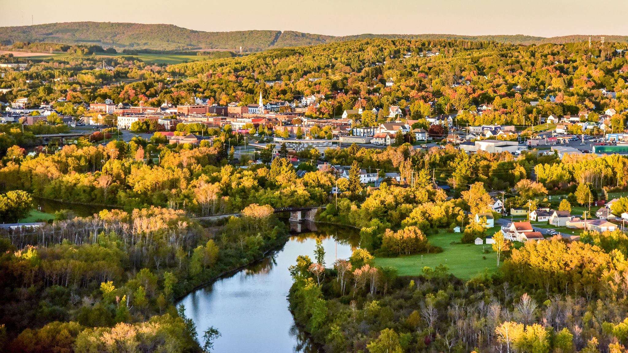 aerial of town and trees