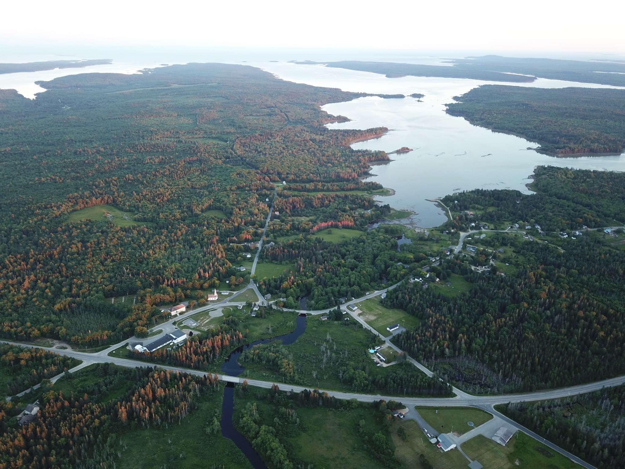 aerial of woods and water