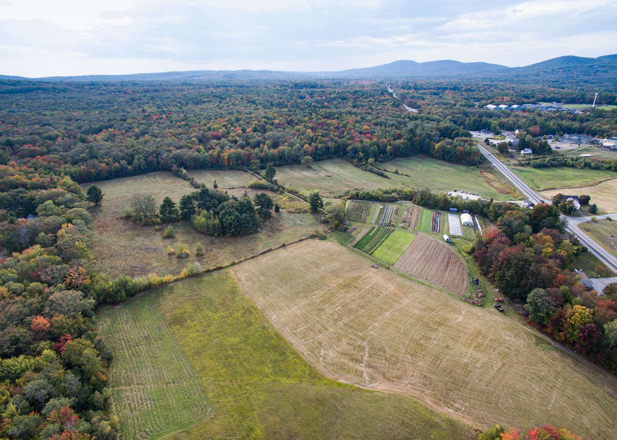 fields and woods