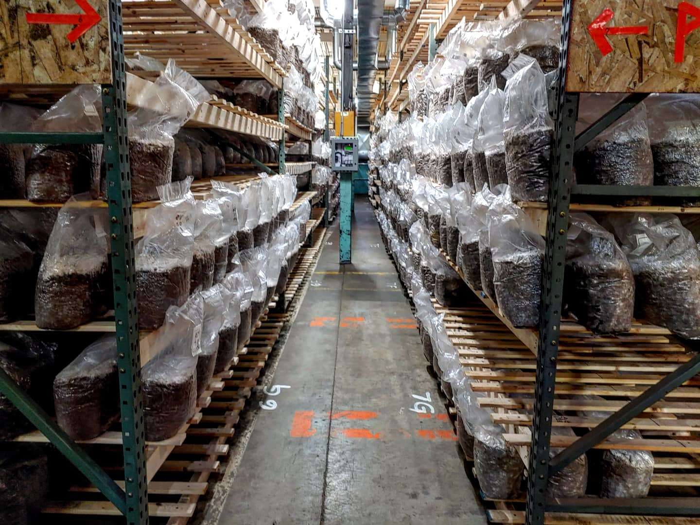 shelves of bags