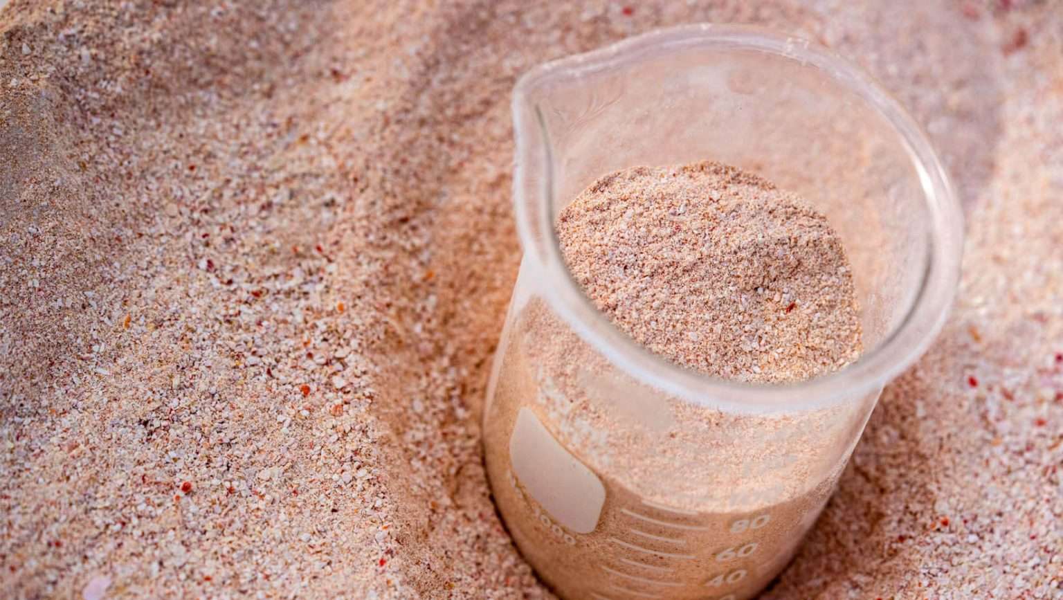 pink powdered shell and cup