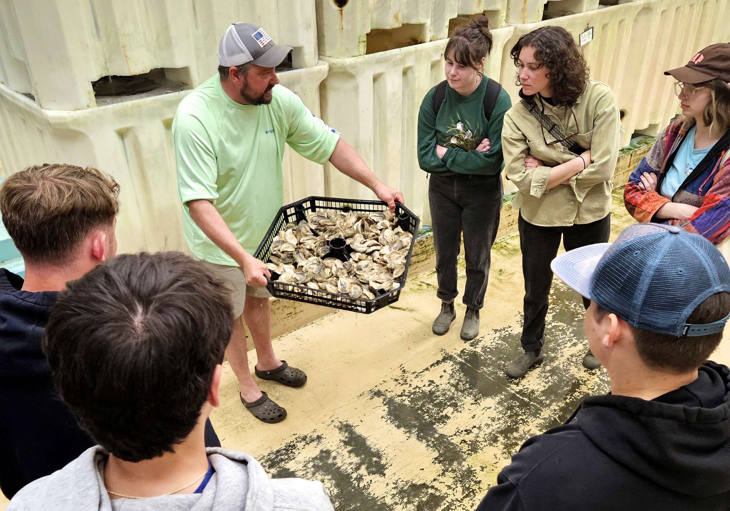 people looking at tray of shellfish