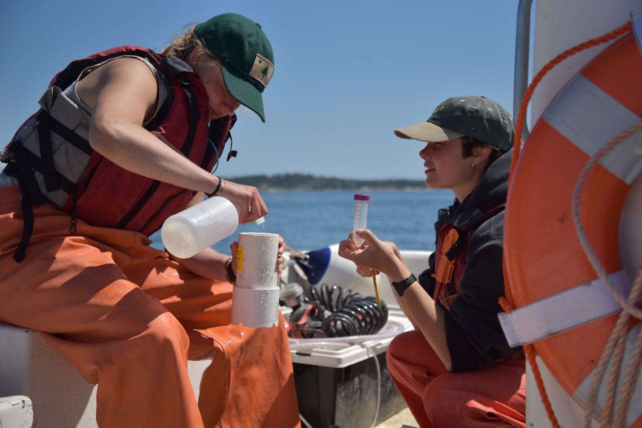 2 people with lobster in orange bibs