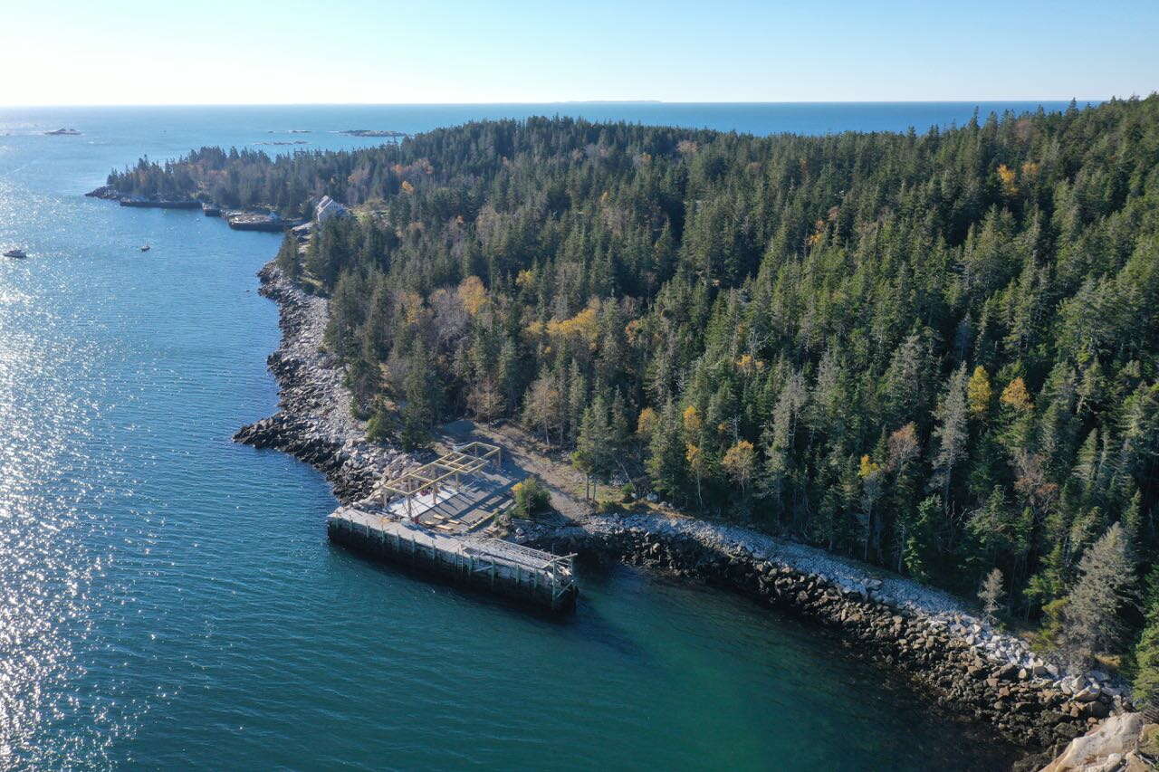 aerial of shore with trees