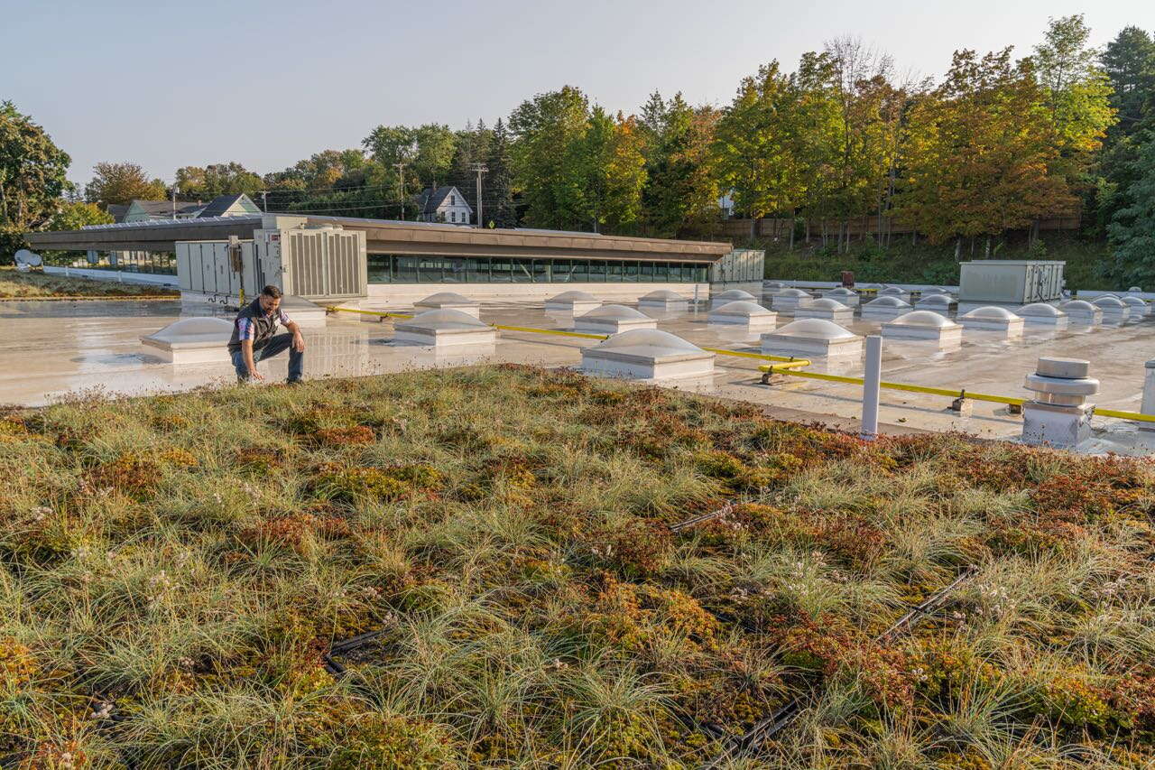 greenery and skylights on roof with person kneeling