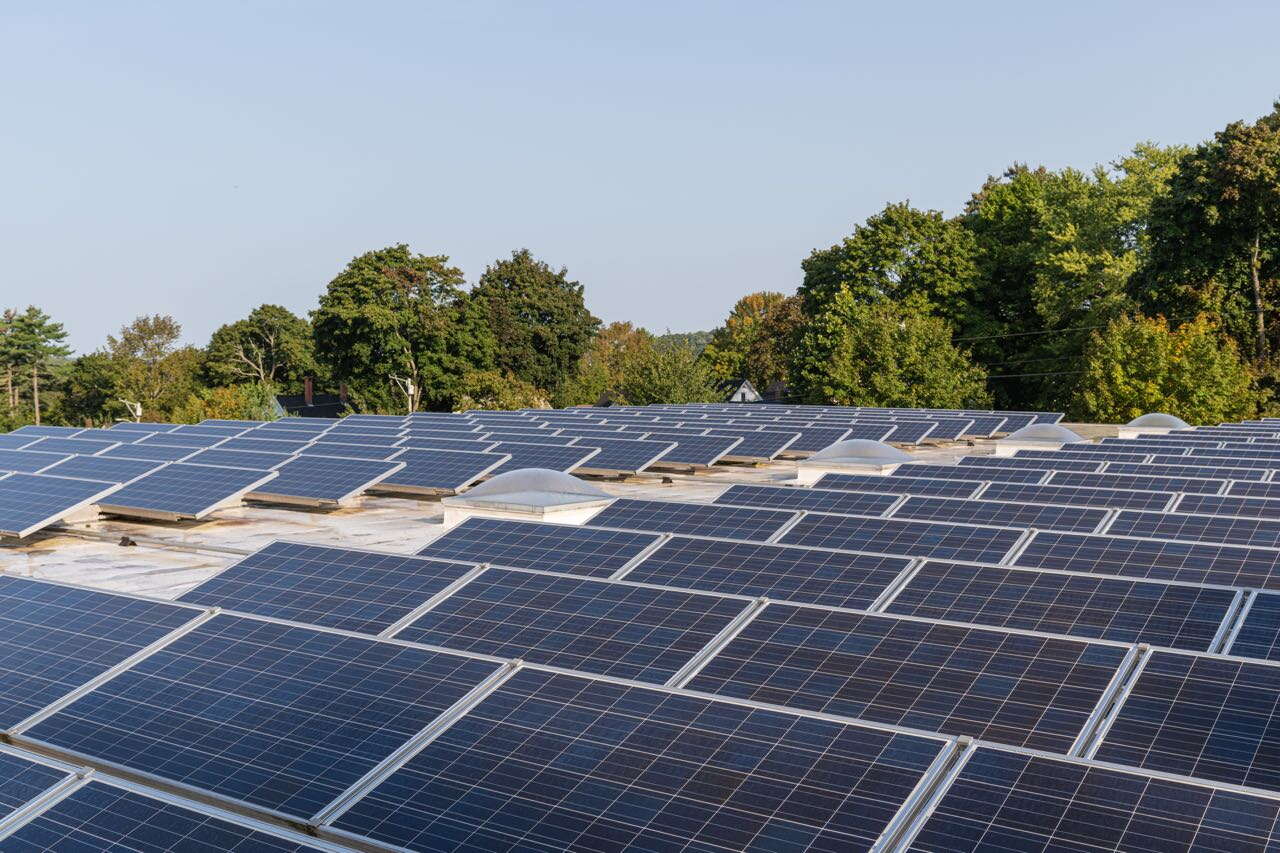 rows of solar panels