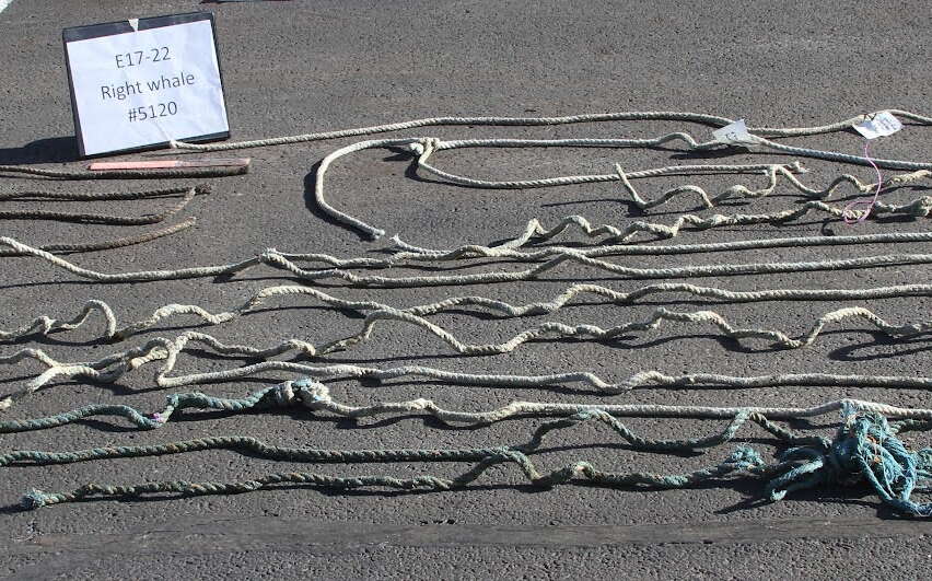 rope on pavement