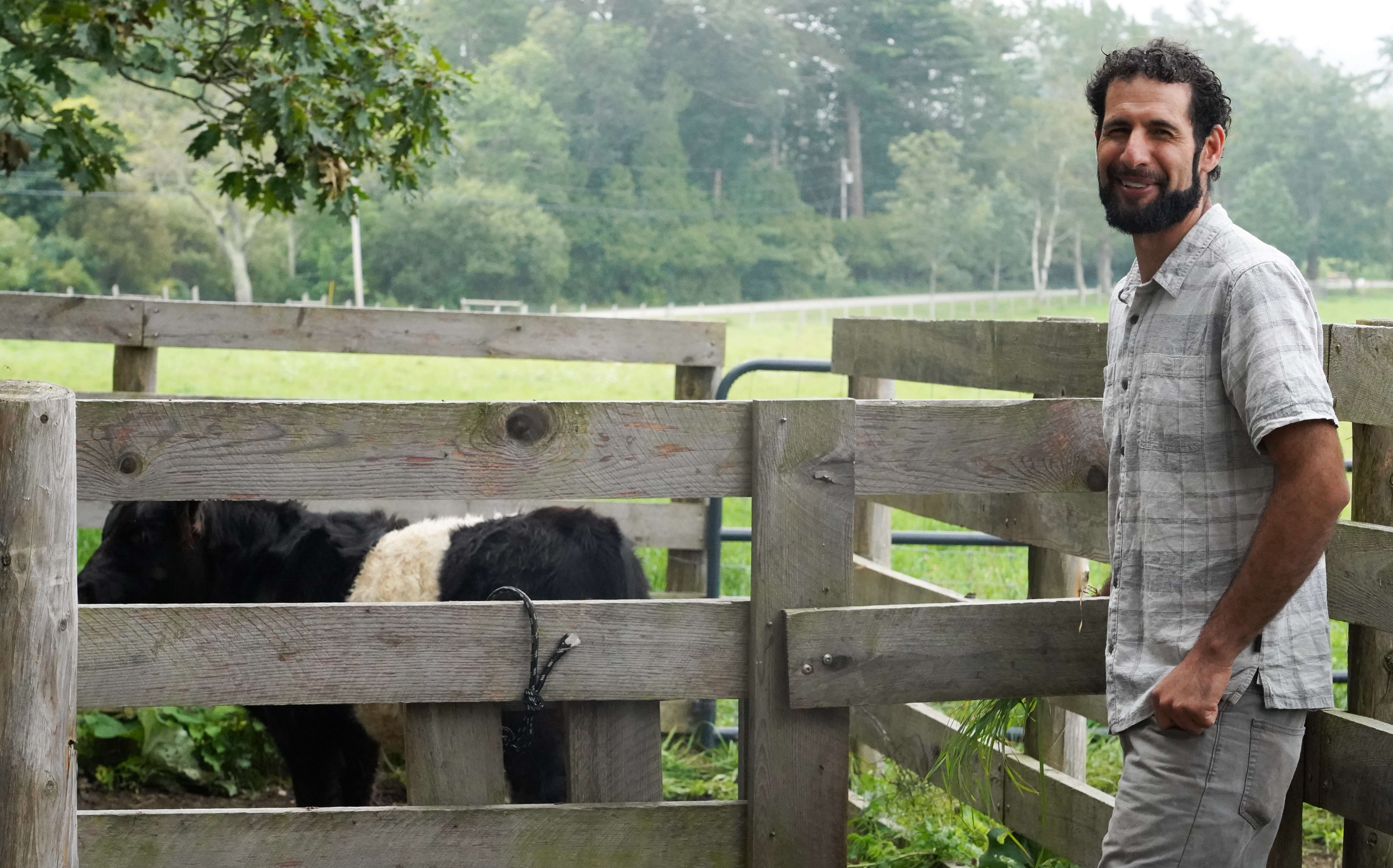 person at slat fence with cow