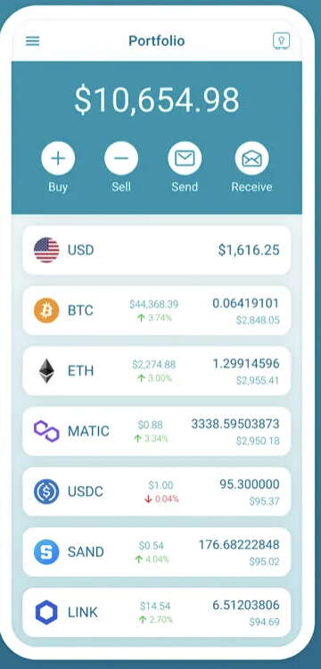 App screen shot