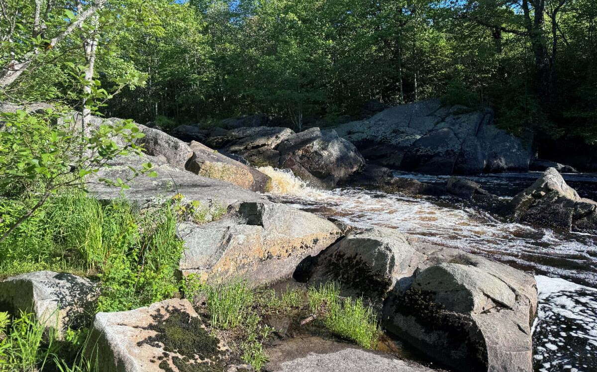 Rocks and water with grass growing sparsely.
