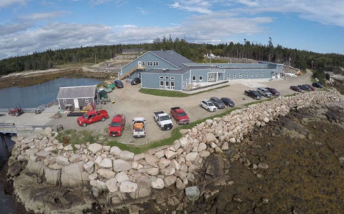 A aerial view shows a blue building and vehicles near the water.