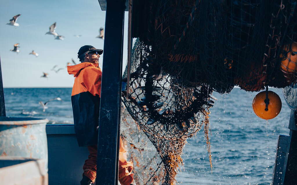 A person pulls a net from the water.
