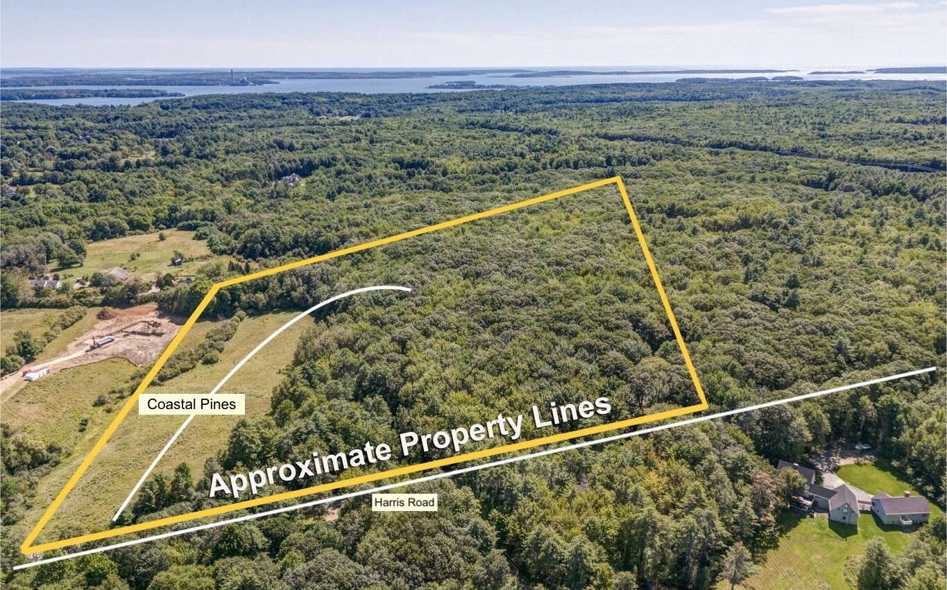 An aerial view of woods and fields with a yellow boundary line.