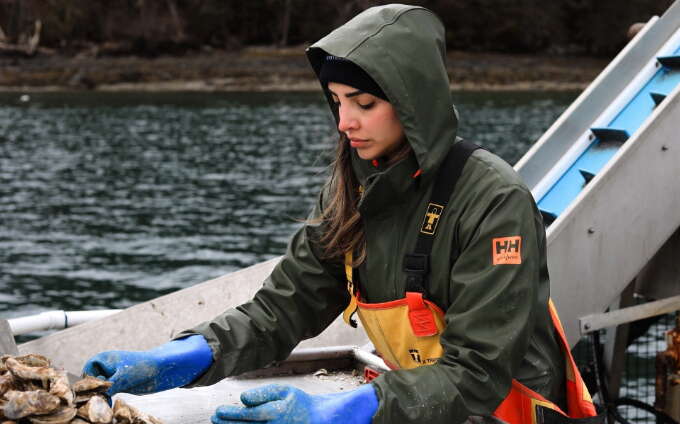 A person is on a boat with a batch of oysters.