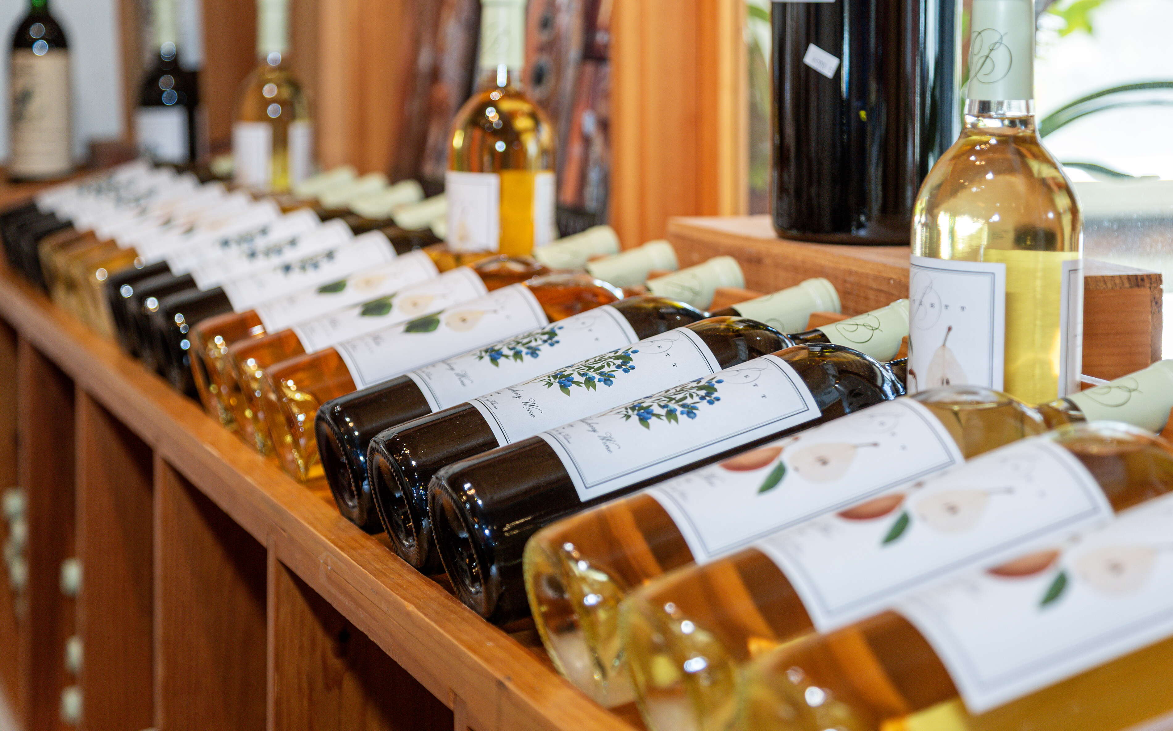 A shelf has a row of wine bottles.