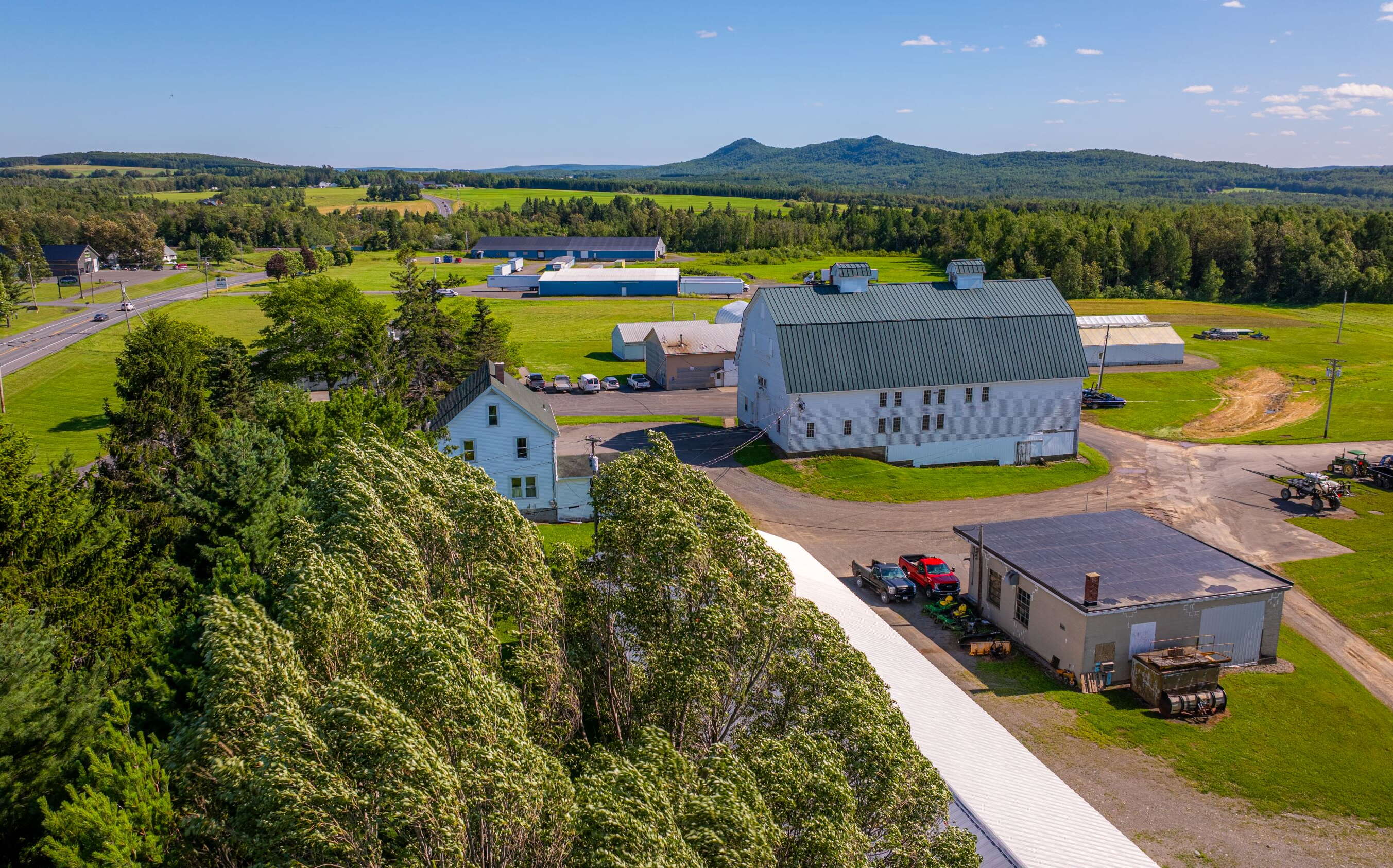 An aerial view of buildings, fields and woods