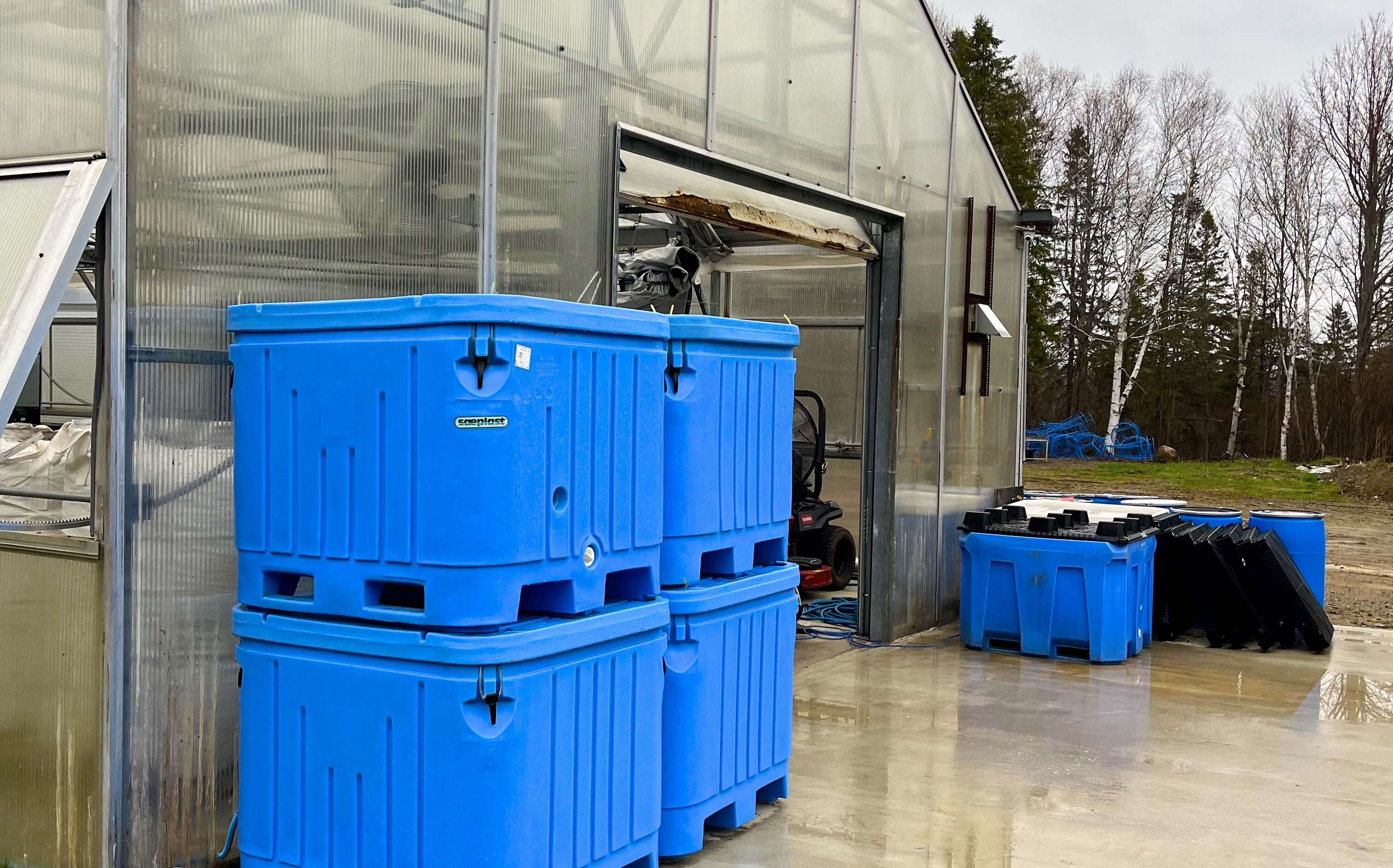 A greenhouse has blue totes outside.