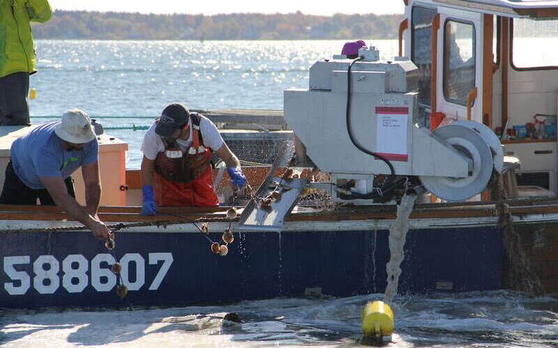 Two people lean over the side of a boat.