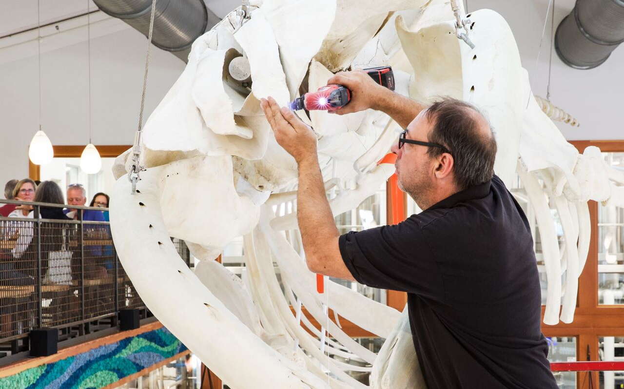 A person works with bones.