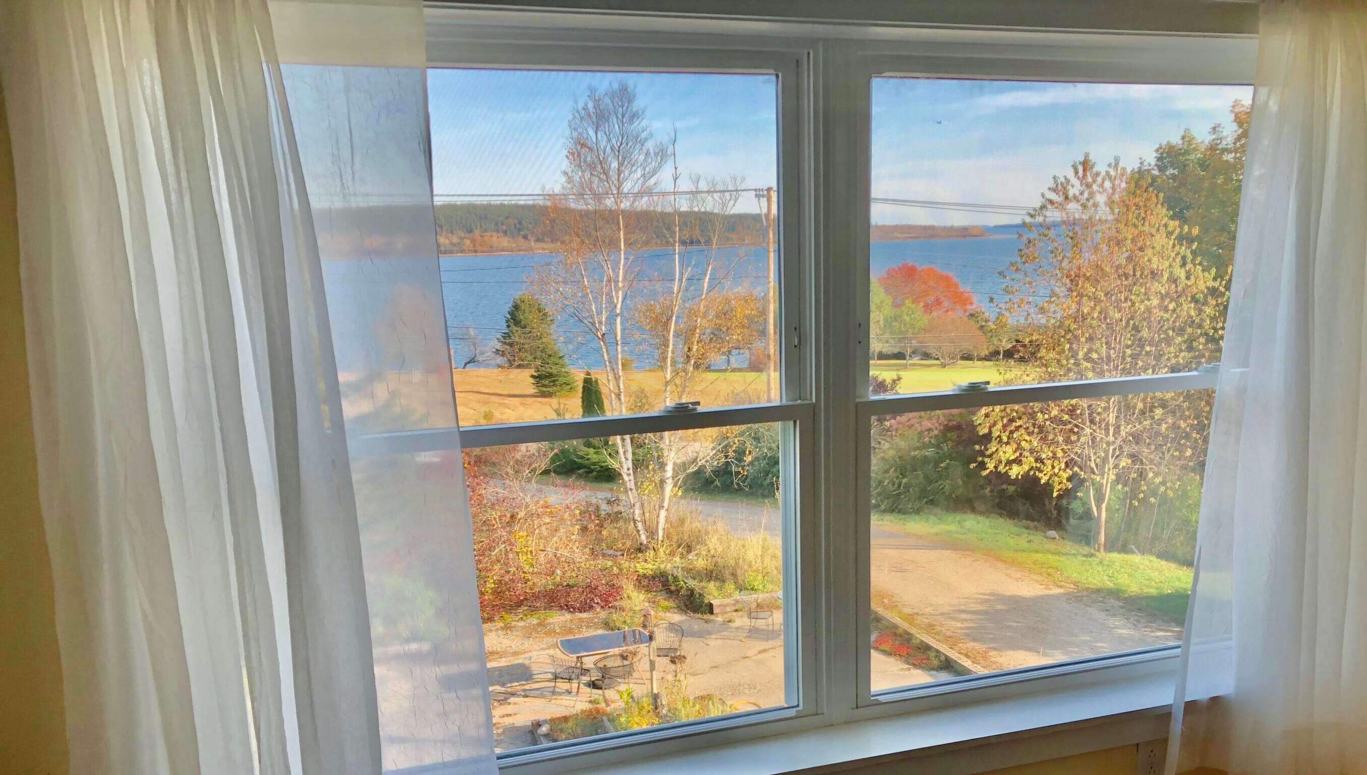 Henhouse view out the window 