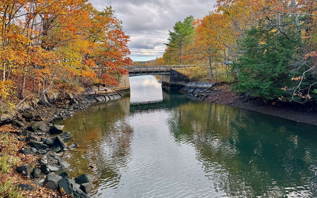 A river has trees and rocks along its banks.