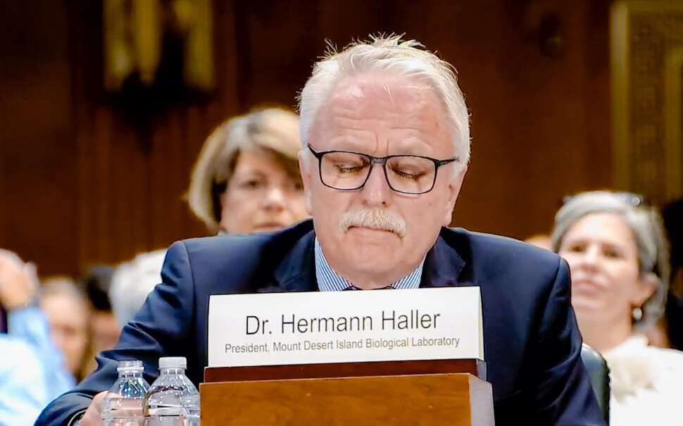 Hermann Haller 