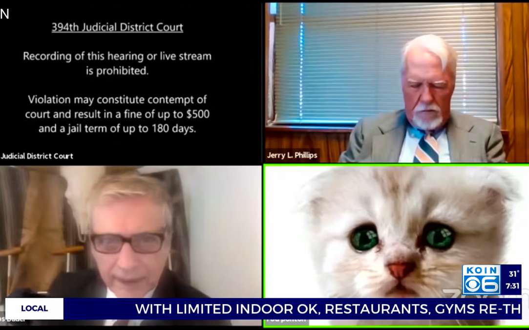 TV screen shot showing a judicial procedure showing 3 humans and 1 cat. 
