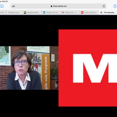 Screen shot of Jennifer Hutchins of MANP speaking at virtual event