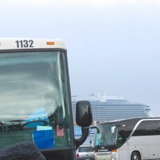 tour buses and cruise ship
