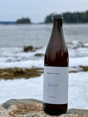 Beer Bottle with ocean in the background 