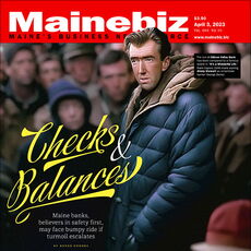 Checks and balances cover