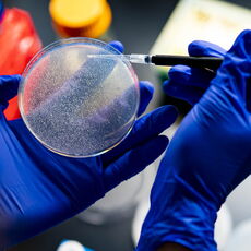Two hands in blue gloves hold a petri dish.