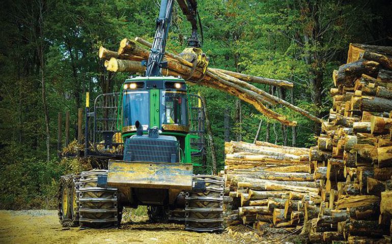 logging truck with logs 