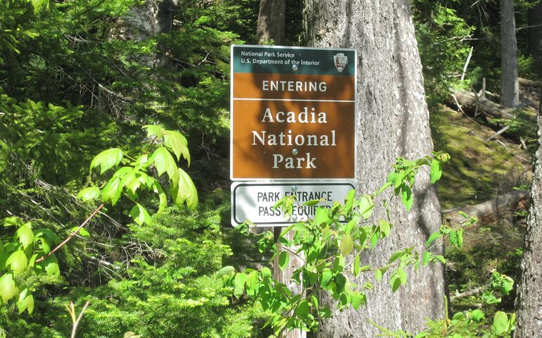 acadia national park scene